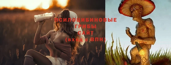 молекула духа Балахна