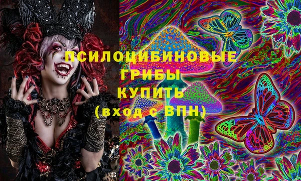 молекула духа Балахна