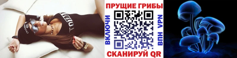 Псилоцибиновые грибы мухоморы  Купино 